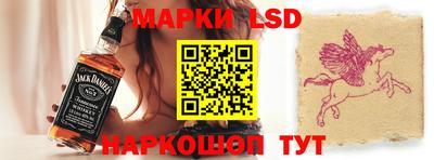 стаф Новодвинск
